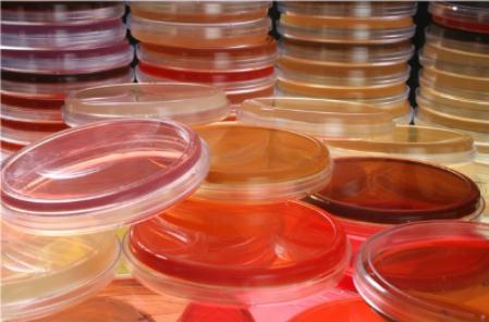 培養(yǎng)皿難洗總洗不干凈易碎，杜伯特輕松解決